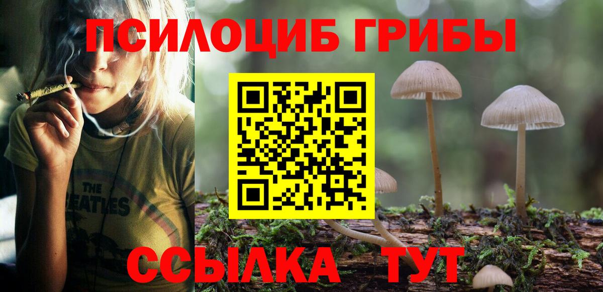 Галлюциногенные грибы Psilocybe  Вход с VPN  Чехов 