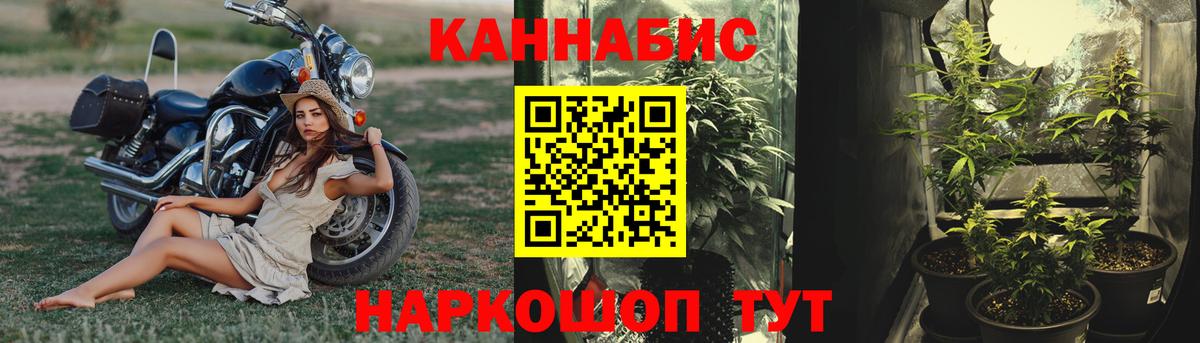 Бошки Шишки OG Kush  Бошки Шишки планчик  Чехов  Вход с VPN  Шишки марихуана сатива  Бошки марихуана White Widow 